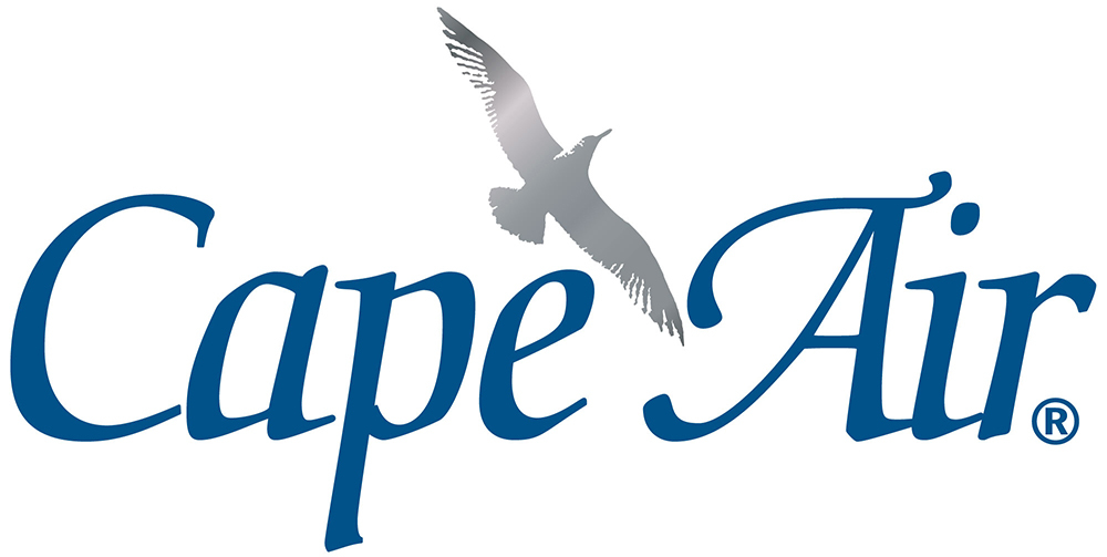 Cape%20air logo blue silver