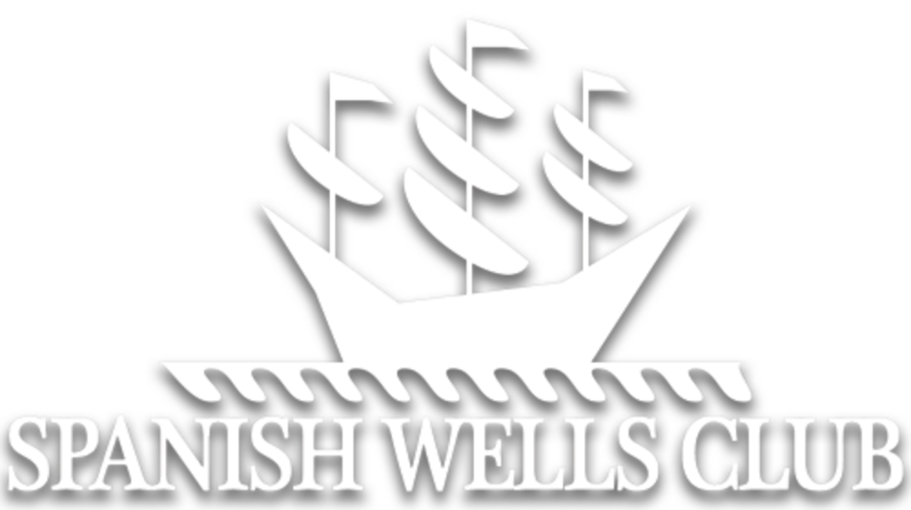 Sw web logo